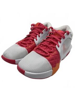 Nike LeBron Witness 8 Dunkin Donuts Pink Basketball FB2239-104 Men's Size 10